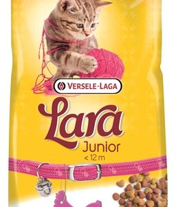 Lara kitten